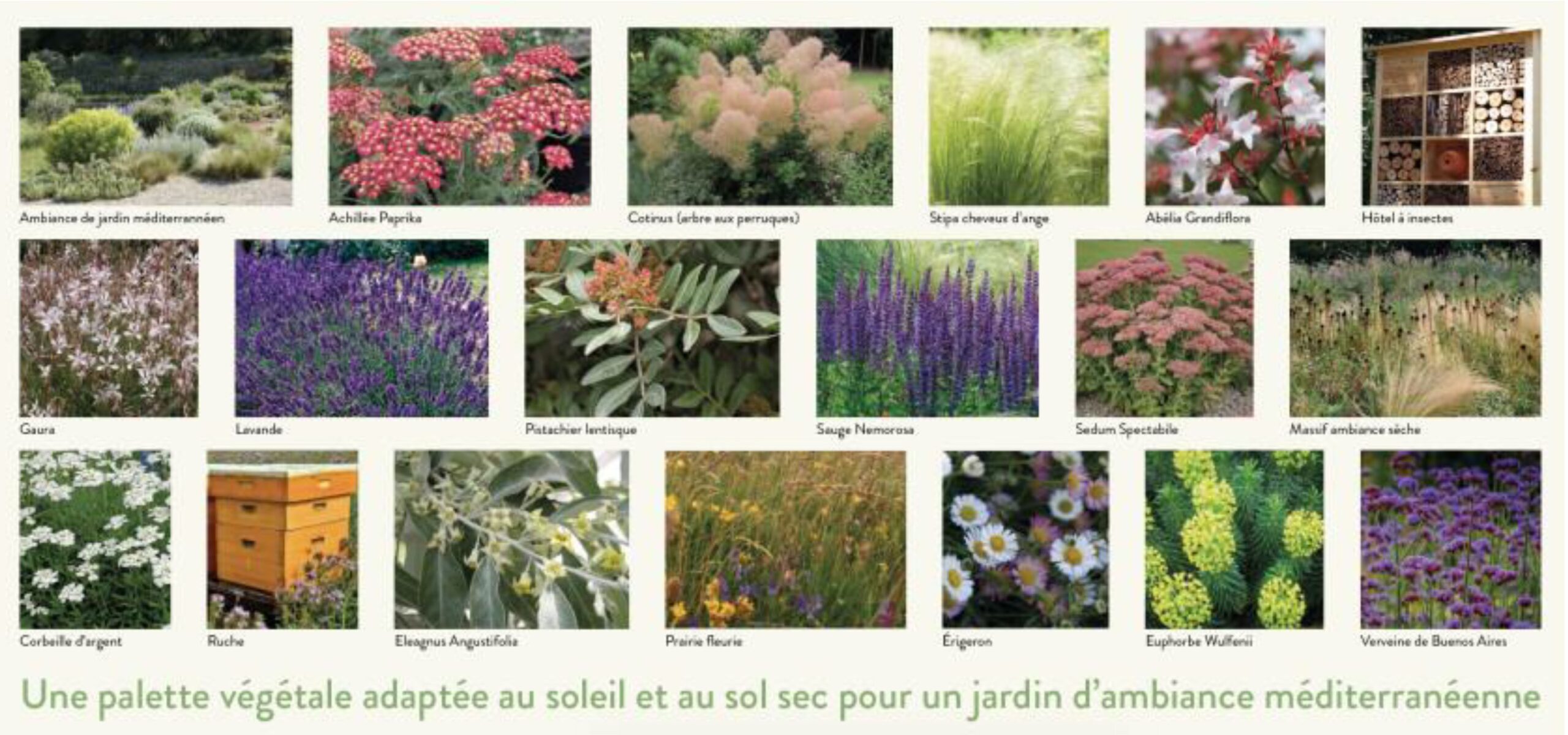 Emmaus-Habitat-Dossier presse jardin charenton 20Nov23_Page_2